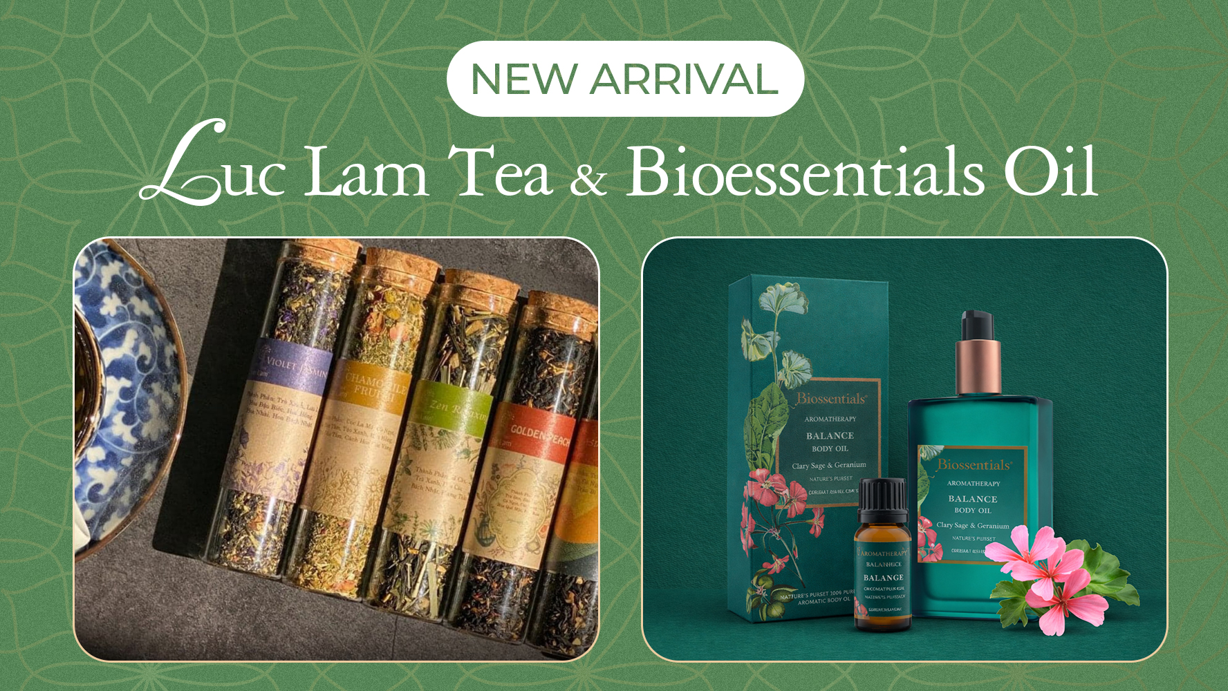 A Gift for Your Senses: Our New Arrivals